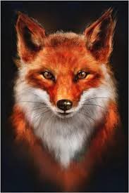 Profil de Francisco, 24 ans, Rencontre sex à Müllheim Dorf (Thurgovie)