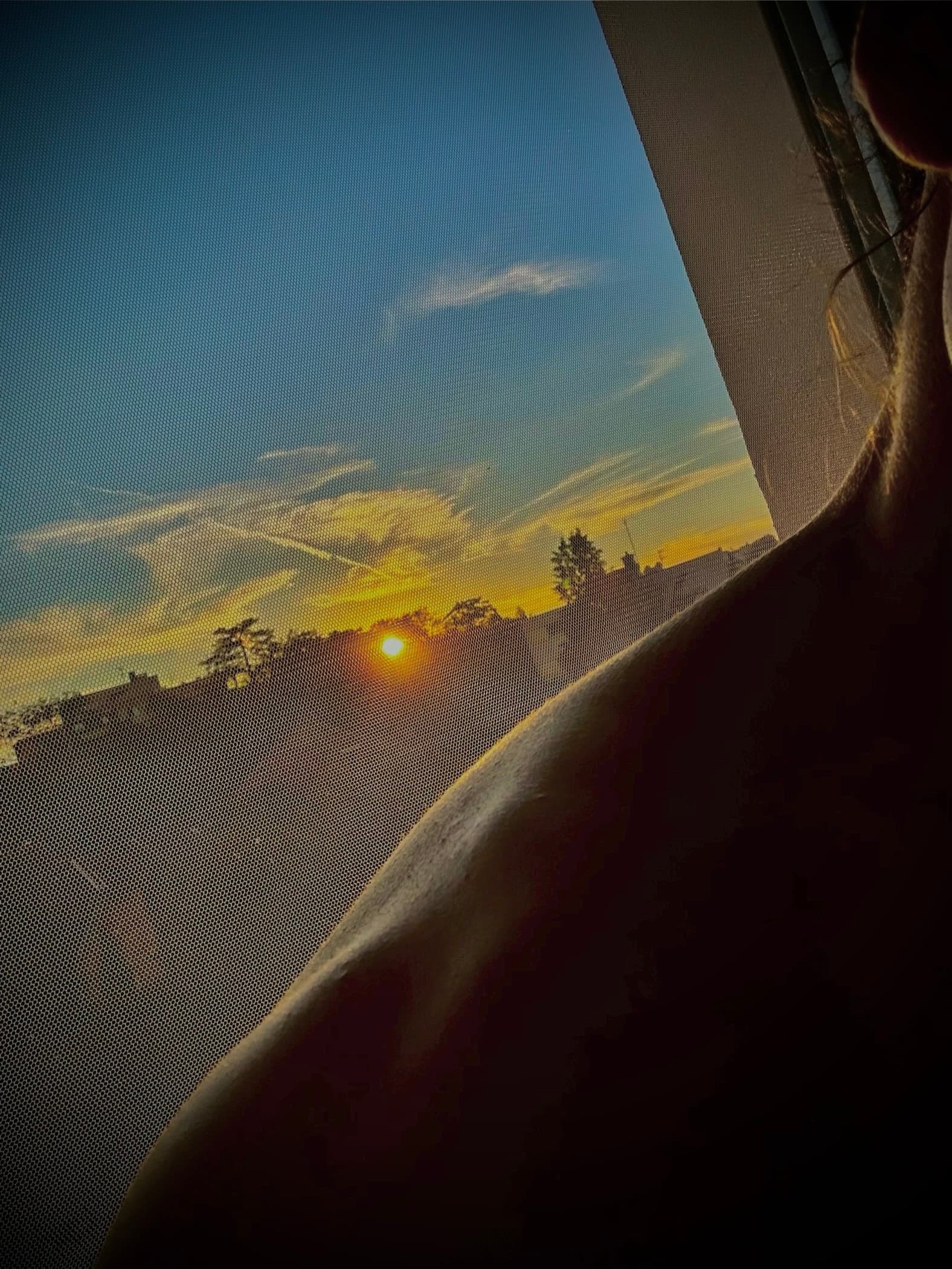 Profil de Sélim, 33 ans, Rencontre sex à Lavin (Grisons)