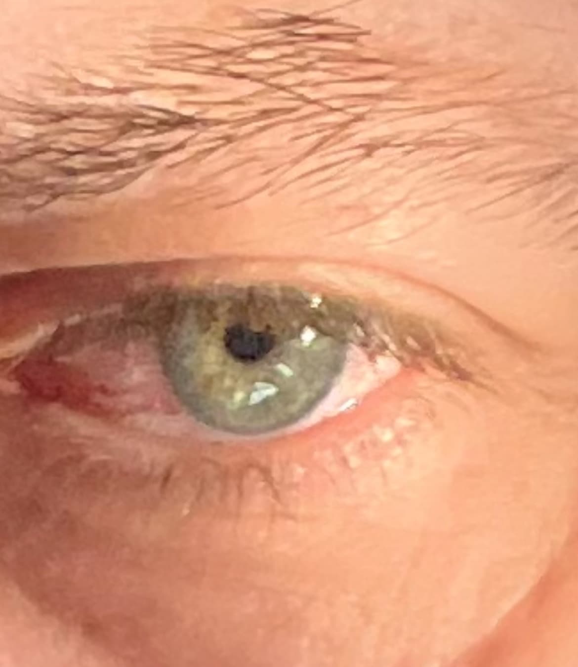 Profil de Quentin, 32 ans, Rencontre sex à Mönchaltorf (Zurich)