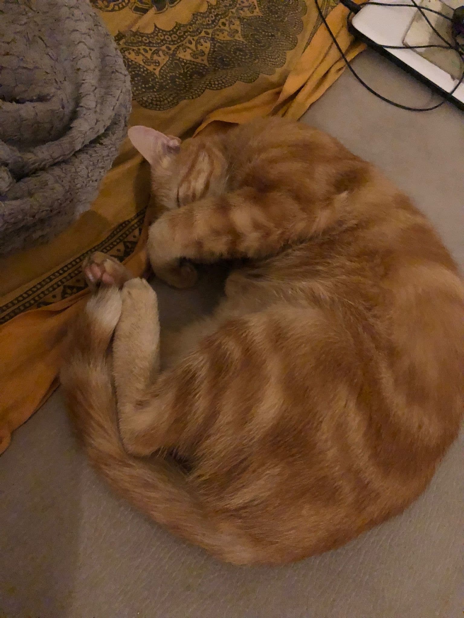 Marvin - Rencontre sex à Brünisried Profil de Marvin, 24 ans, Rencontre sex à Brünisried (Fribourg)