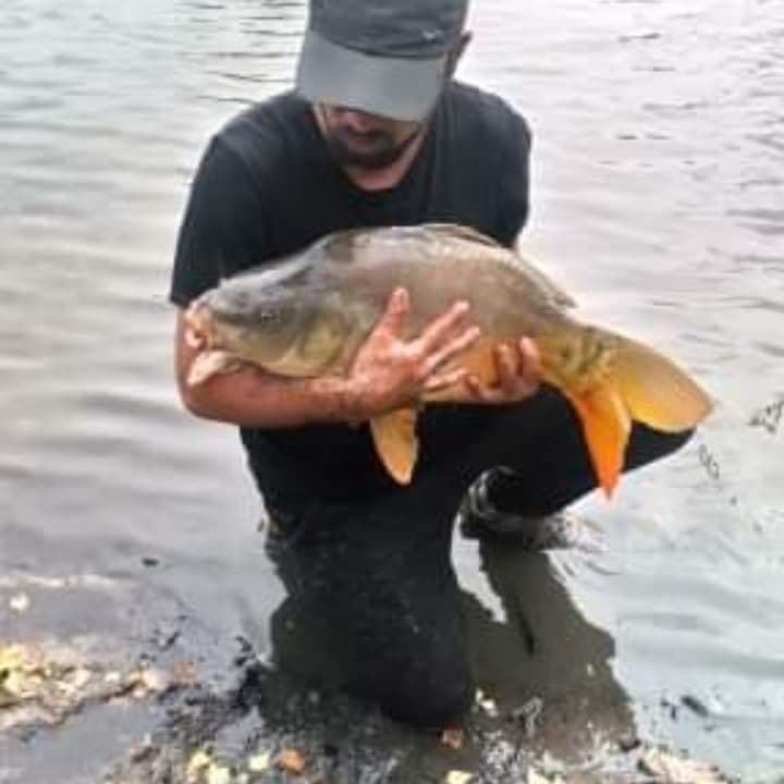 Pacôme - Rencontre sex à Mühleberg Profil de Pacôme, 43 ans, Rencontre sex à Mühleberg (Berne)