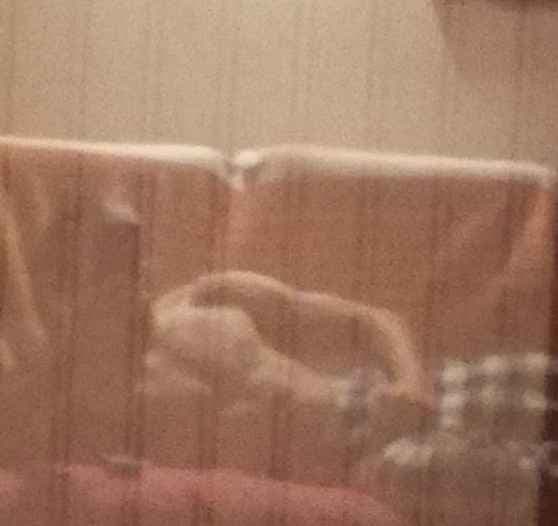 Soulayman - Rencontre sex à Grünenmatt Profil de Soulayman, 40 ans, Rencontre sex à Grünenmatt (Berne)